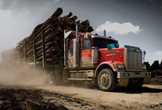 4900 Vocational Logging