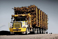 6900 Vocational Logging